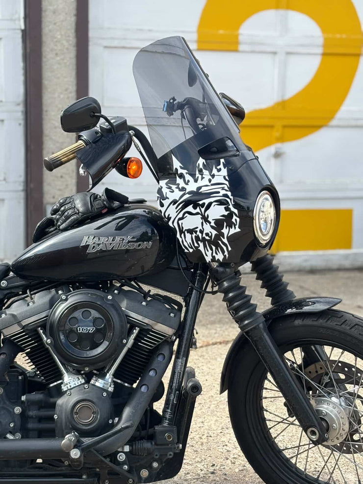 THE B.F.S (The BIG Fuggin Skull)